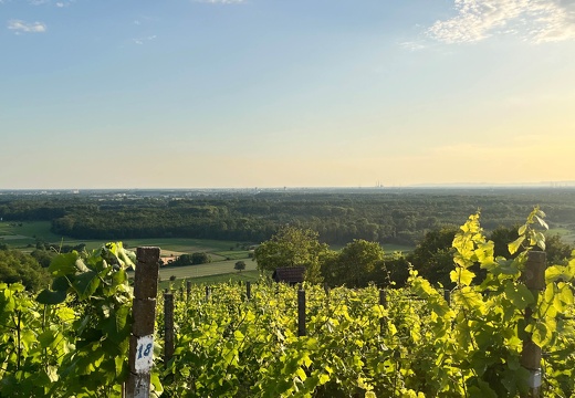 22-06-15 20-23-14 1100